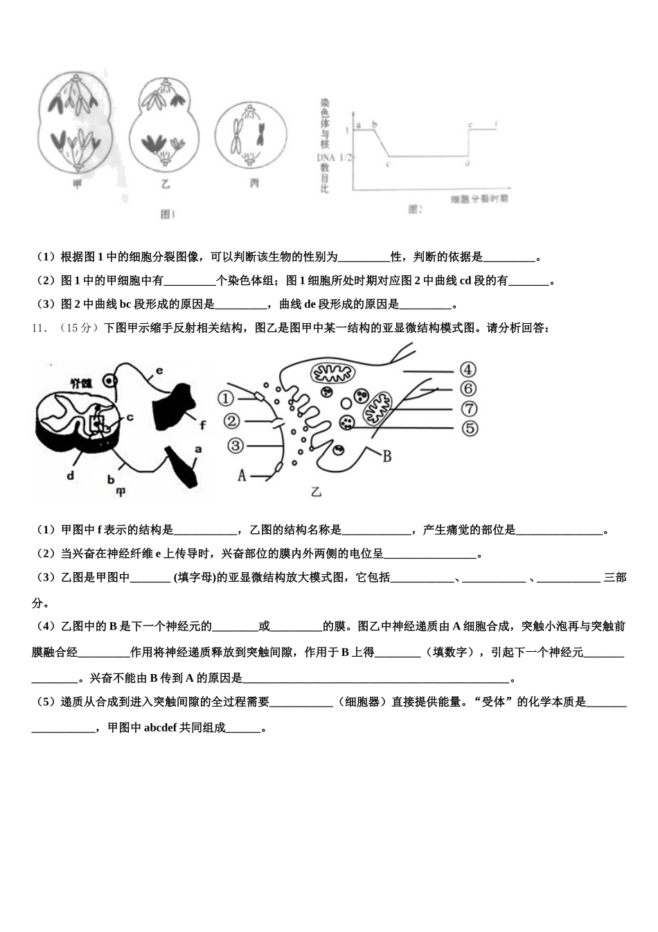 2025年株洲市第二中学生物高一下期末综合测试模拟试题含解析_第3页