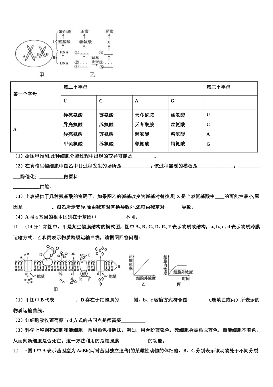 2025年湖南省衡阳市衡阳县第四中学高一生物第二学期期末考试模拟试题含解析_第3页