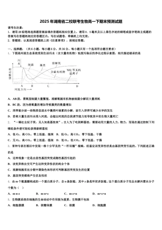 2025年湖南省二校联考生物高一下期末预测试题含解析