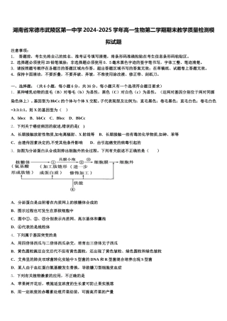 湖南省常德市武陵区第一中学2024-2025学年高一生物第二学期期末教学质量检测模拟试题含解析
