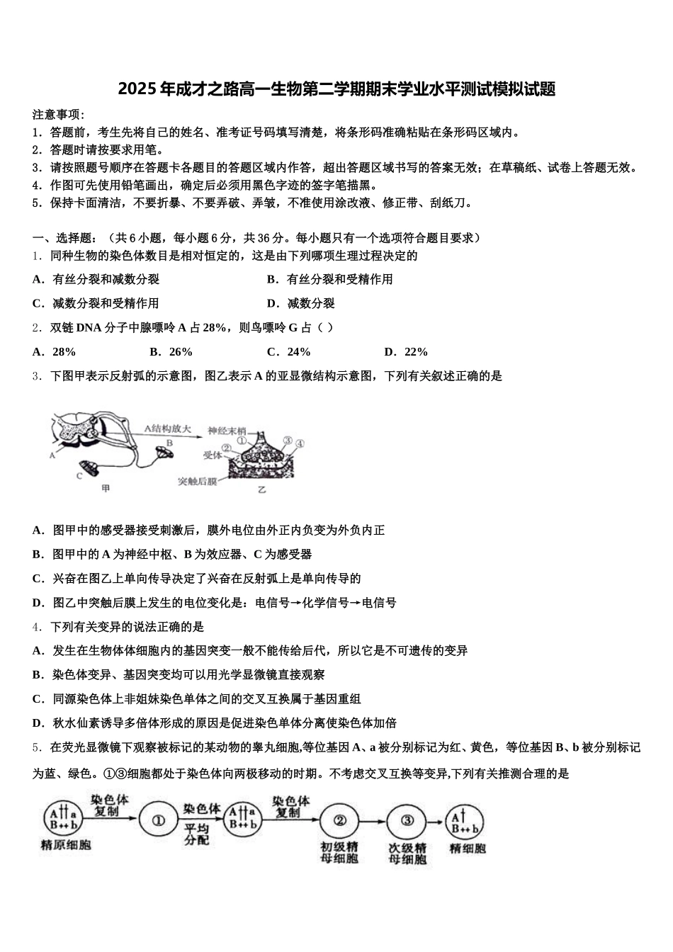 2025年成才之路高一生物第二学期期末学业水平测试模拟试题含解析_第1页