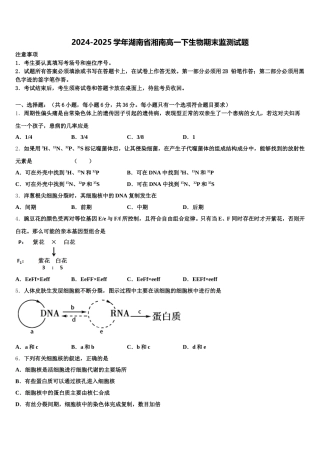2024-2025学年湖南省湘南高一下生物期末监测试题含解析