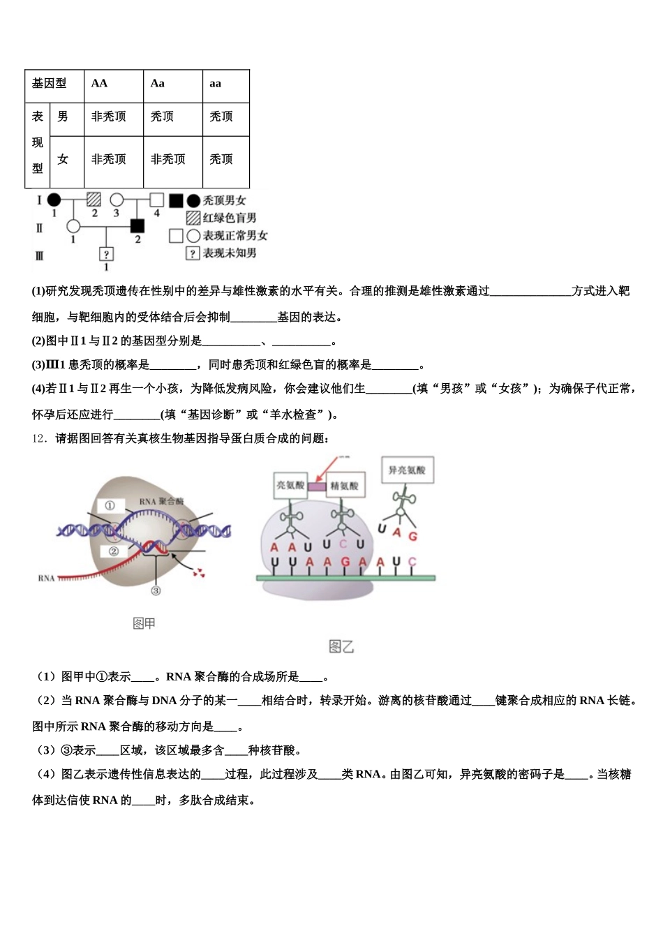 2025届衡阳市第八中学高一生物第二学期期末统考模拟试题含解析_第3页