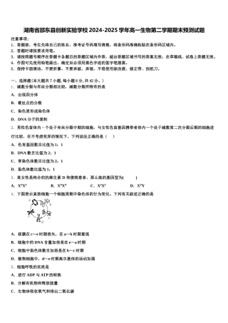 湖南省邵东县创新实验学校2024-2025学年高一生物第二学期期末预测试题含解析
