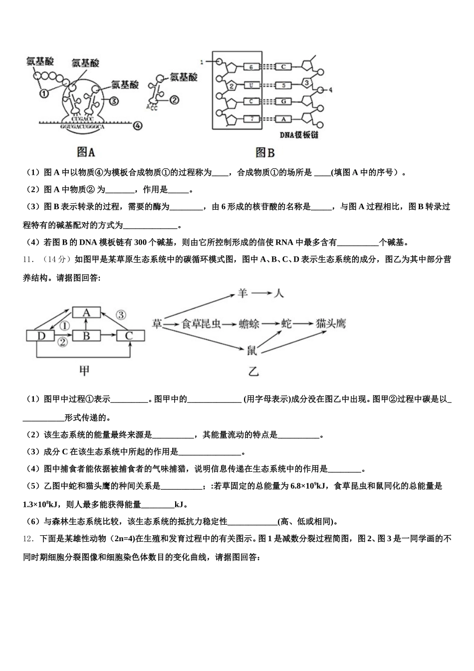 湖南省衡阳市第一中学2025届生物高一第二学期期末学业水平测试试题含解析_第3页