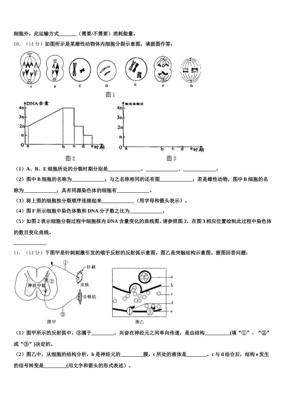 2025年湖南省茶陵三中生物高一下期末综合测试模拟试题含解析_第3页