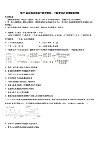 2025年湖南省茶陵三中生物高一下期末综合测试模拟试题含解析