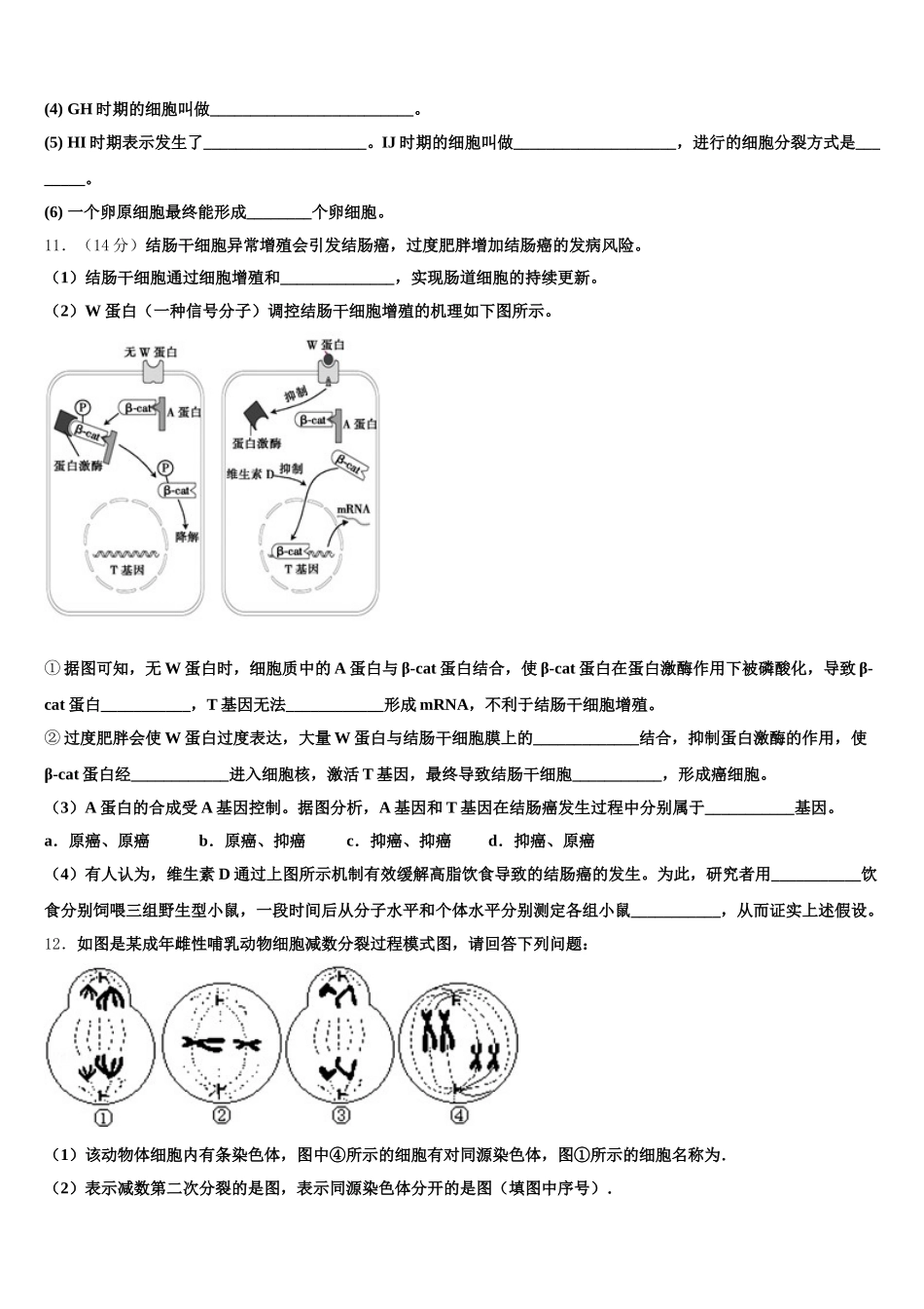 2025届湖南省益阳市桃江县第一中学生物高一第二学期期末学业水平测试模拟试题含解析_第3页