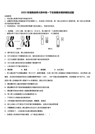 2025年湖南省师大附中高一下生物期末调研模拟试题含解析