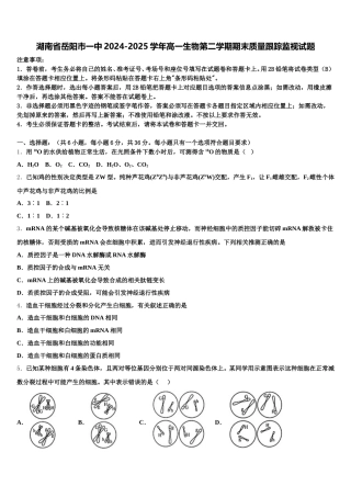 湖南省岳阳市一中2024-2025学年高一生物第二学期期末质量跟踪监视试题含解析
