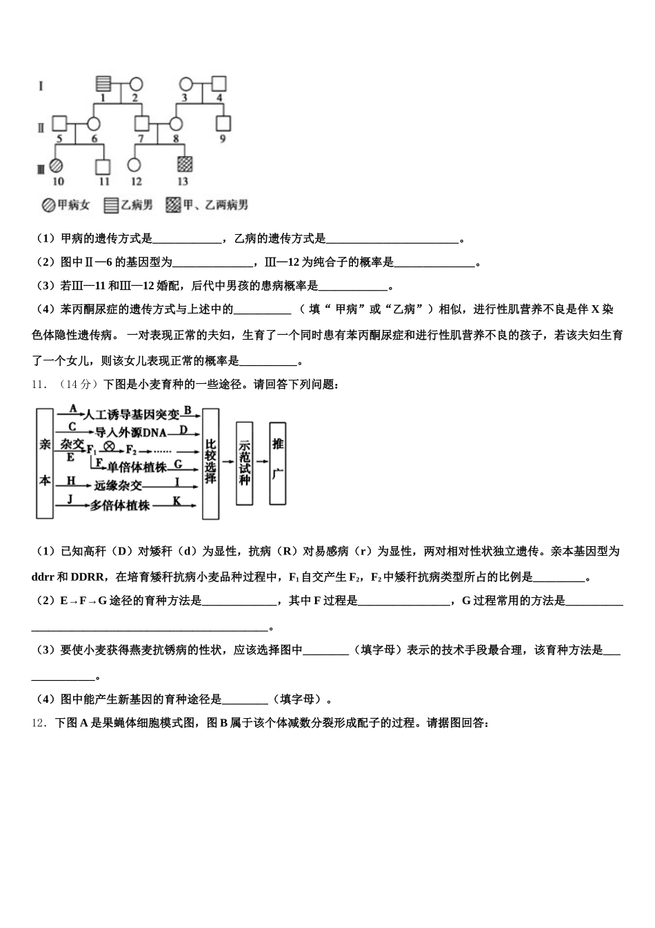 2025届长沙市明德中学高一生物第二学期期末复习检测模拟试题含解析_第3页