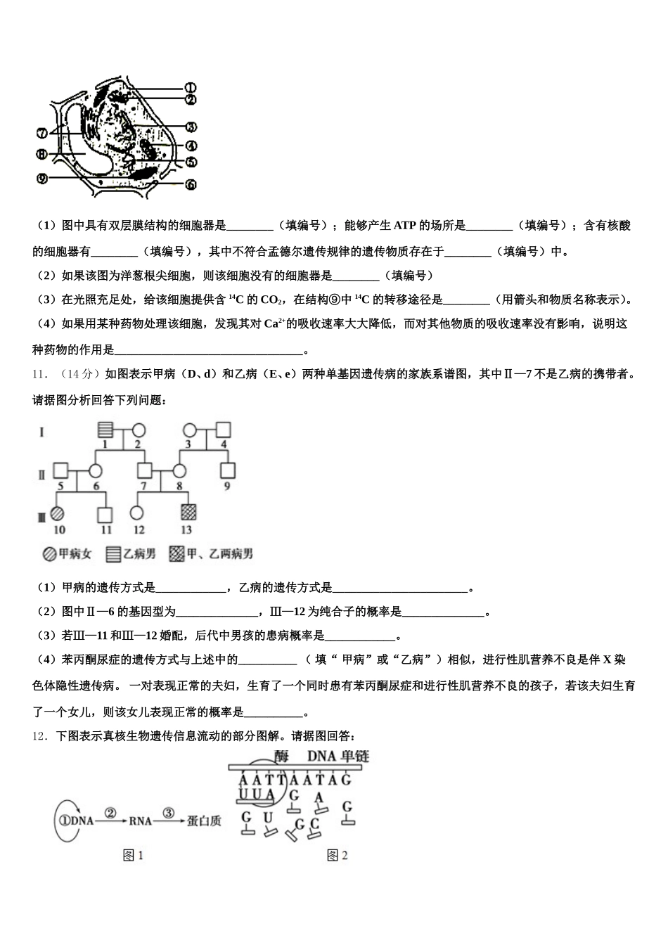 湖南省凤凰县皇仓中学2024-2025学年生物高一第二学期期末监测模拟试题含解析_第3页
