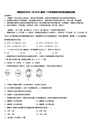 湖南省长沙市一中2025届高一下生物期末综合测试模拟试题含解析