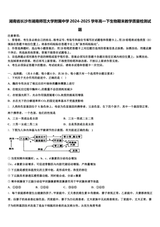 湖南省长沙市湖南师范大学附属中学2024-2025学年高一下生物期末教学质量检测试题含解析
