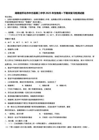 湖南省怀化市中方县第二中学2025年生物高一下期末复习检测试题含解析