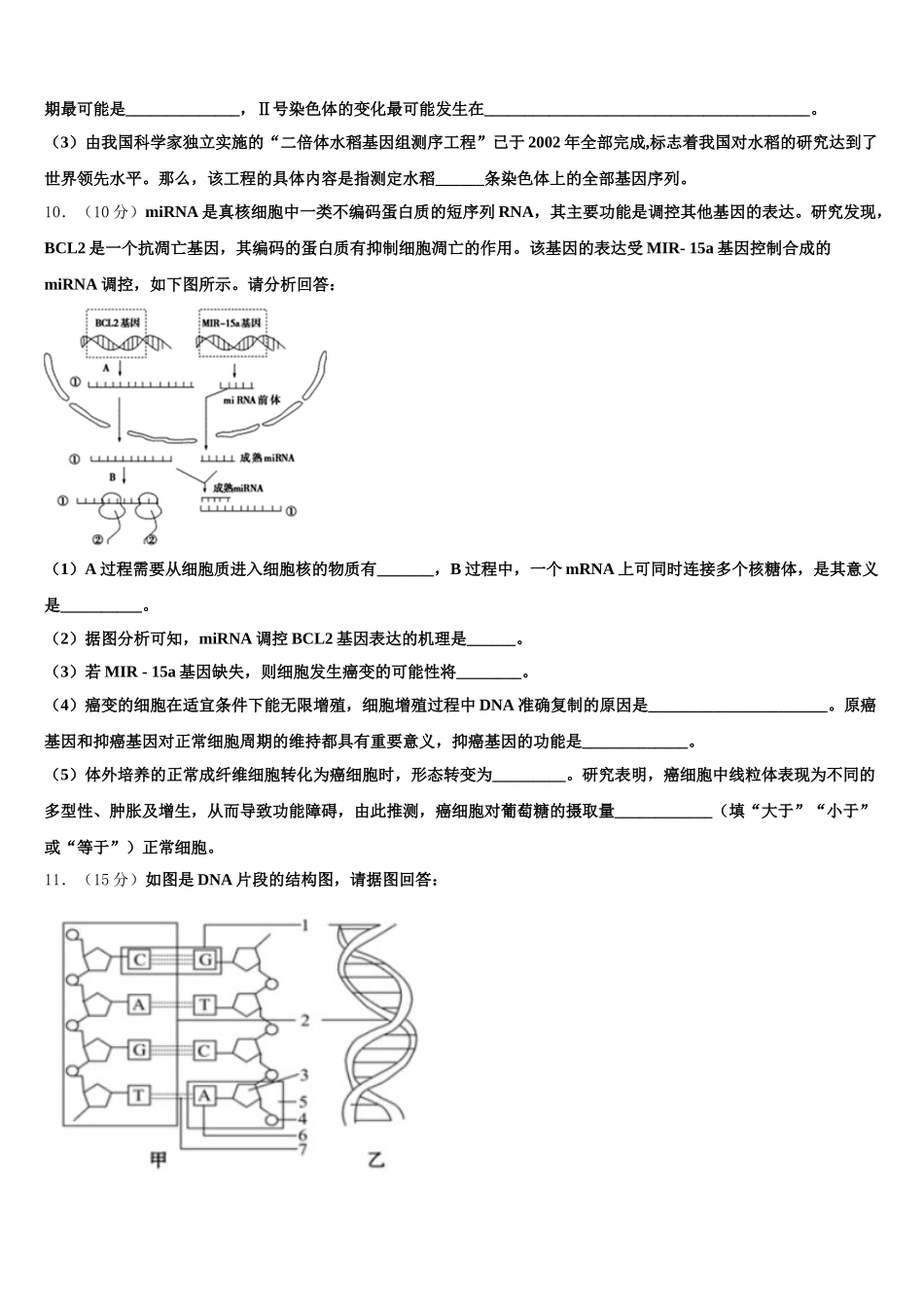 2025届湖南省邵阳市邵东第十中学高一生物第二学期期末考试模拟试题含解析_第3页