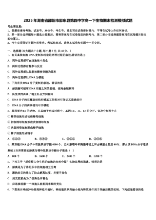 2025年湖南省邵阳市邵东县第四中学高一下生物期末检测模拟试题含解析