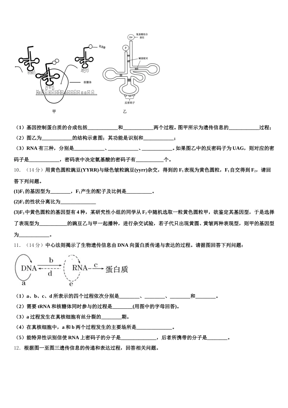 2025届湖南省浏阳市高一下生物期末质量检测模拟试题含解析_第3页