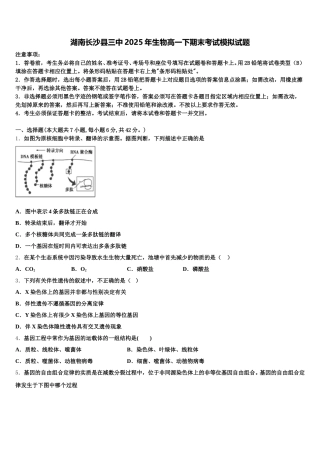 湖南长沙县三中2025年生物高一下期末考试模拟试题含解析