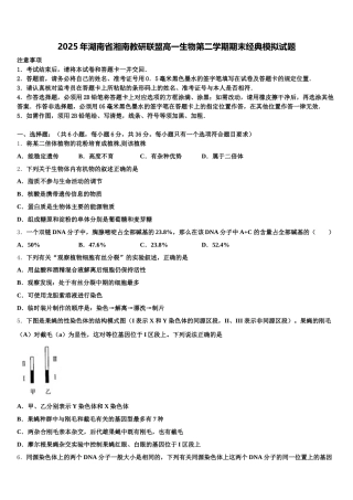 2025年湖南省湘南教研联盟高一生物第二学期期末经典模拟试题含解析