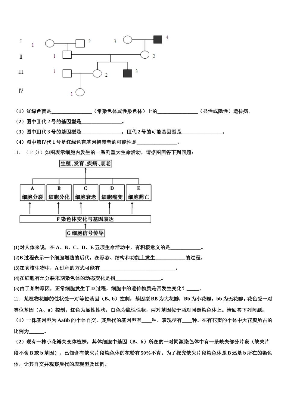湖南省冷水江市第一中学2024-2025学年高一生物第二学期期末质量检测试题含解析_第3页