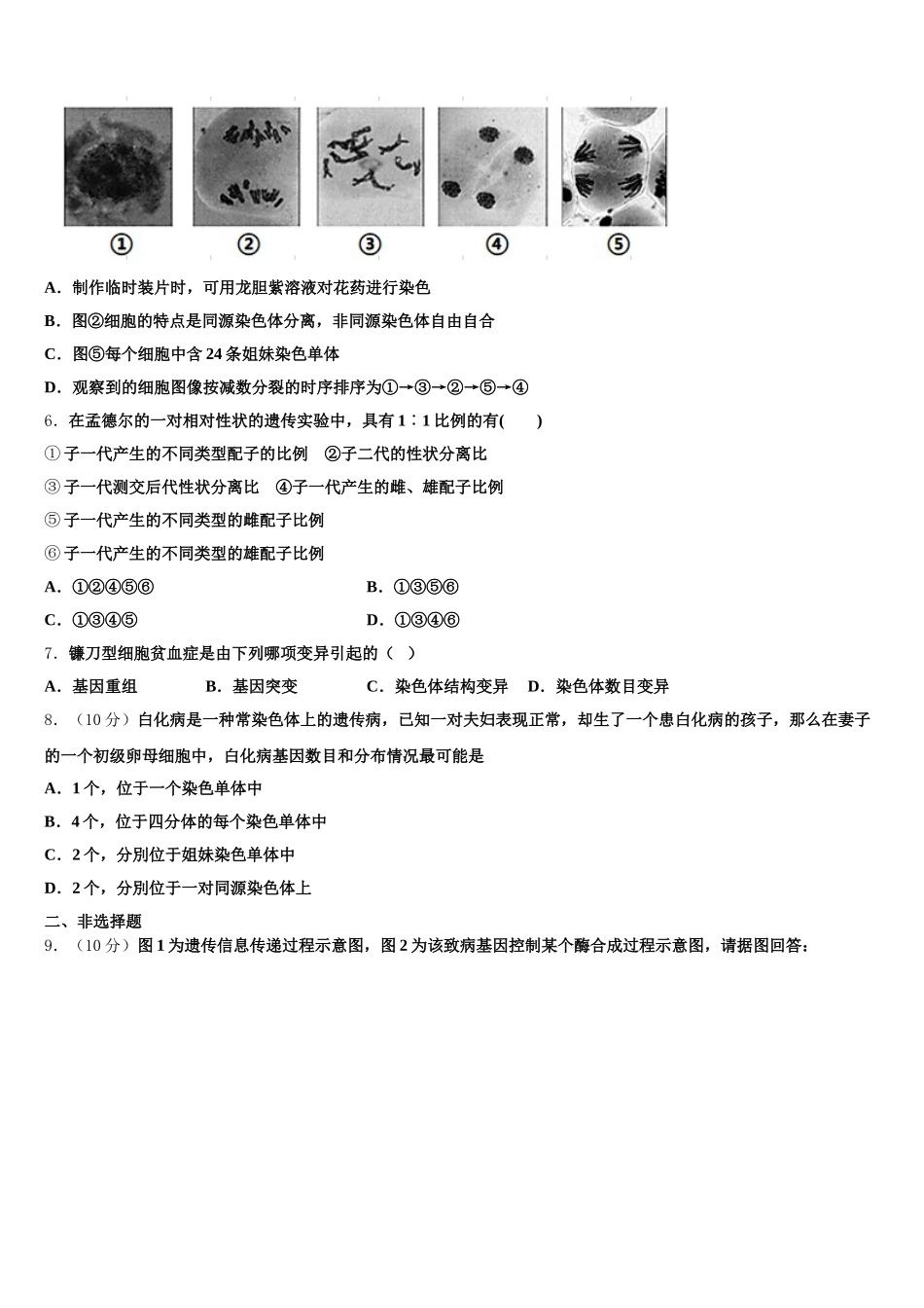2024-2025学年湖南省衡阳县清潭中学生物高一下期末质量检测试题含解析_第2页