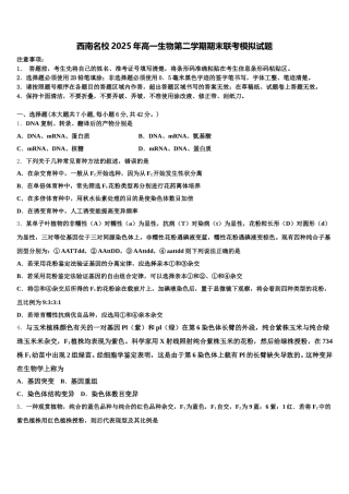 西南名校2025年高一生物第二学期期末联考模拟试题含解析