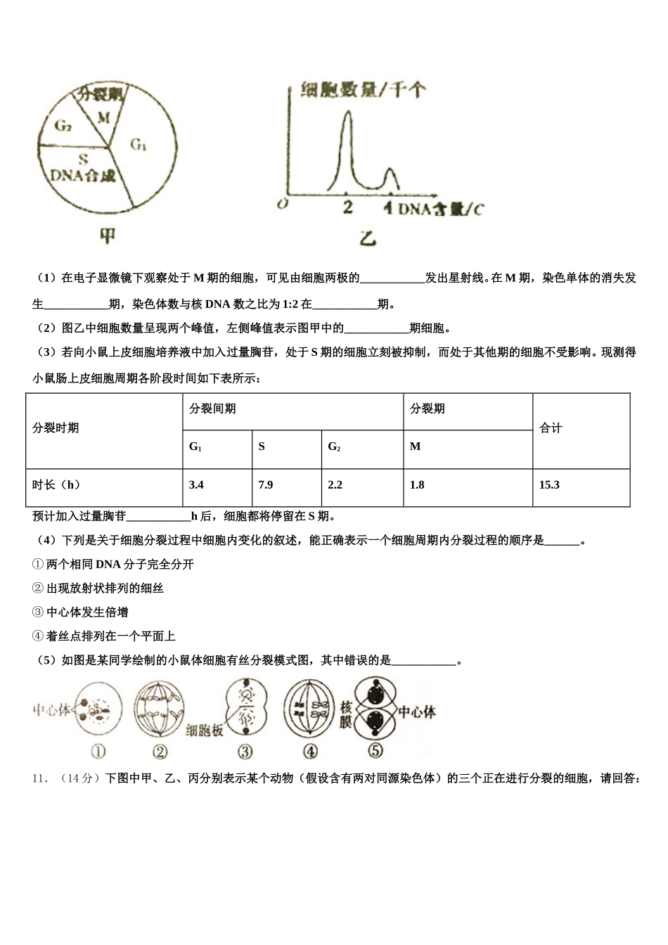 2025年湖南省冷水江市第一中学高一下生物期末调研试题含解析_第3页