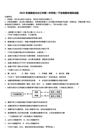 2025年湖南省冷水江市第一中学高一下生物期末调研试题含解析