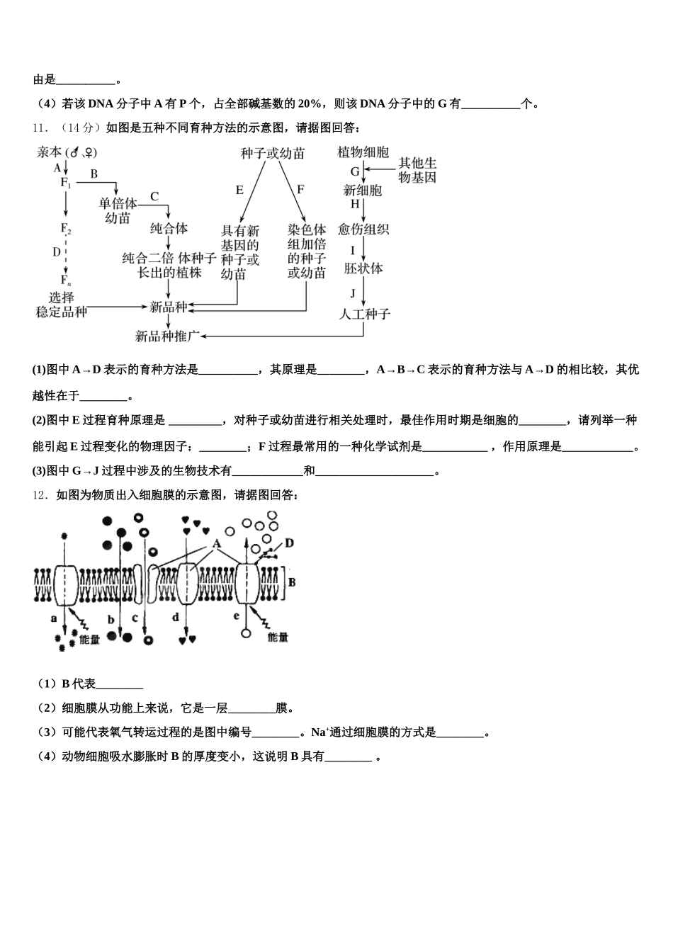 2025年湖南省邵阳市洞口县第九中学高一生物第二学期期末达标检测试题含解析_第3页