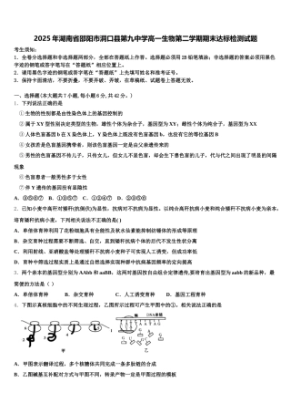 2025年湖南省邵阳市洞口县第九中学高一生物第二学期期末达标检测试题含解析