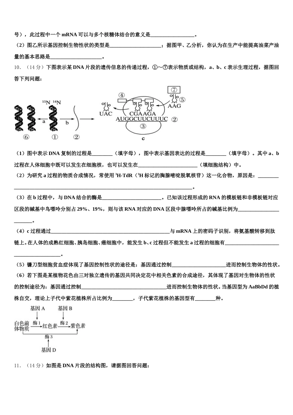2024-2025学年湖南省常德芷兰实验学校高一生物第二学期期末综合测试模拟试题含解析_第3页