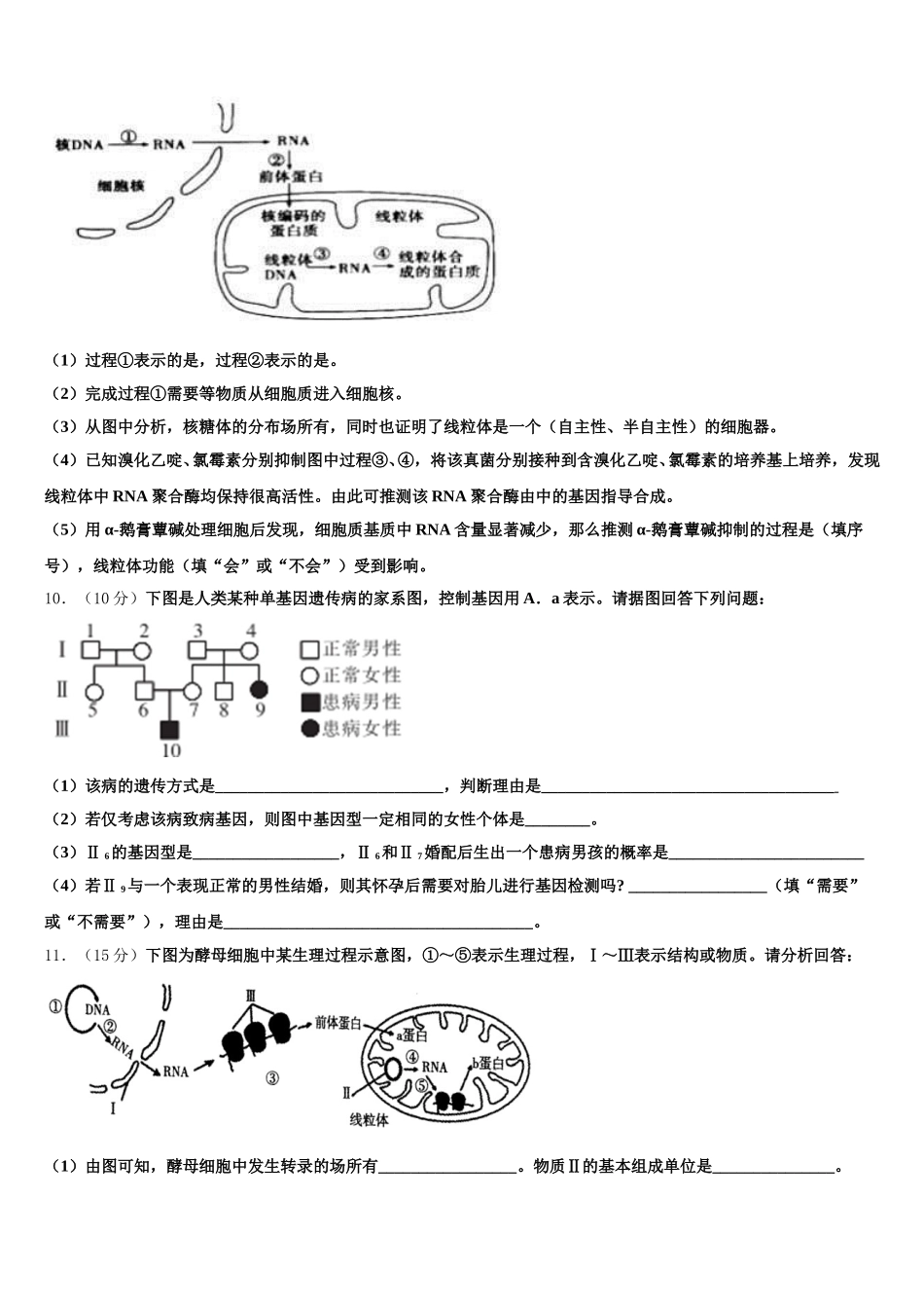 2024-2025学年湖南省衡阳市祁东县第二中学生物高一下期末综合测试模拟试题含解析_第3页
