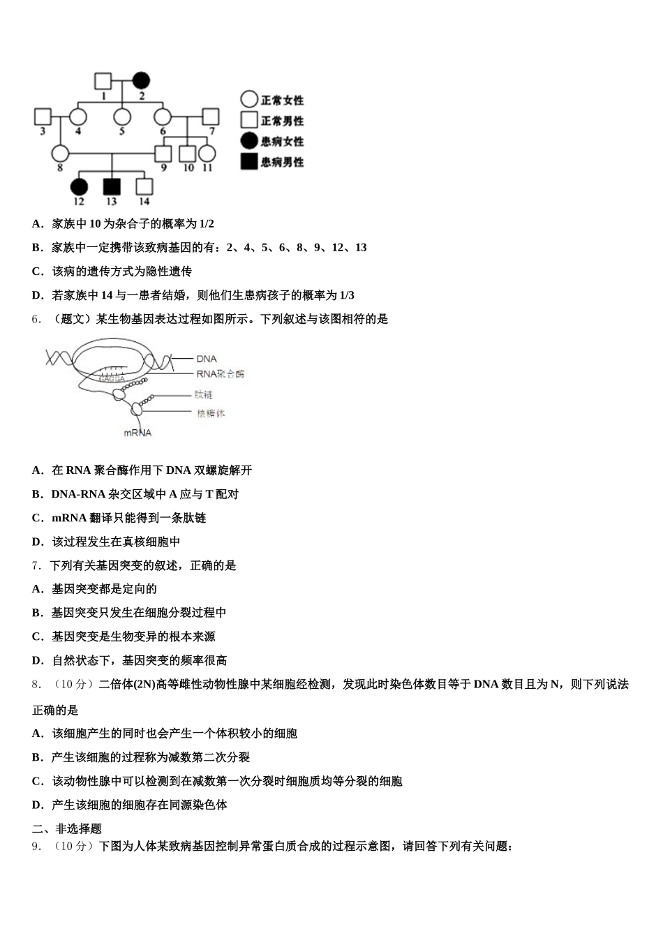 2025年湖南省汨罗市第二中学生物高一下期末学业水平测试模拟试题含解析_第2页