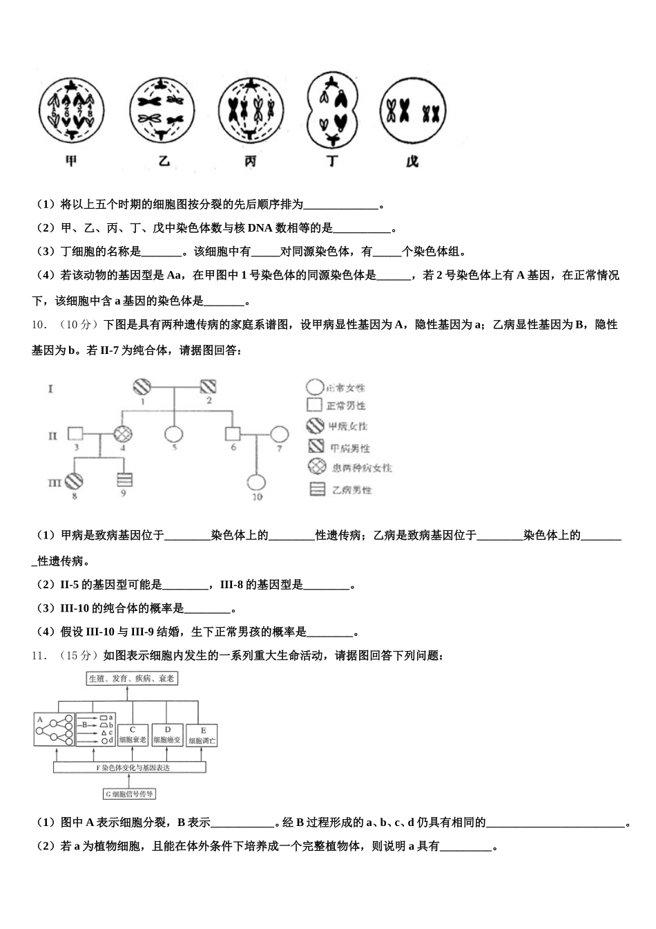 湖南省邵阳市邵东县创新实验学校2025届生物高一第二学期期末检测模拟试题含解析_第3页