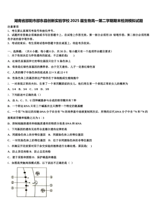 湖南省邵阳市邵东县创新实验学校2025届生物高一第二学期期末检测模拟试题含解析