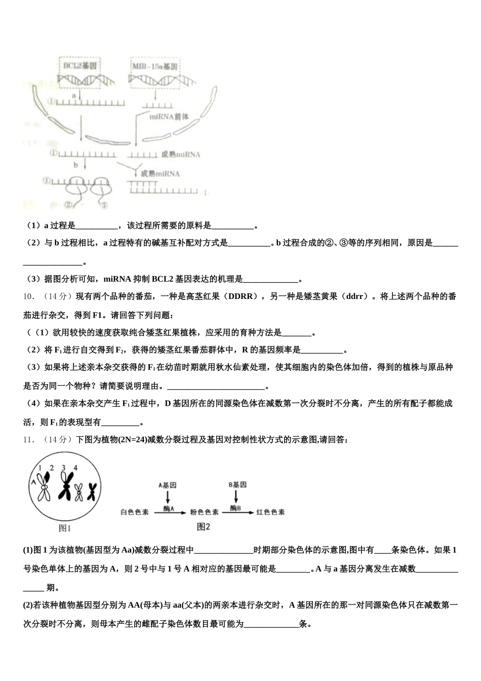 2025届湖南省衡阳市第二十六中学生物高一下期末监测试题含解析_第3页