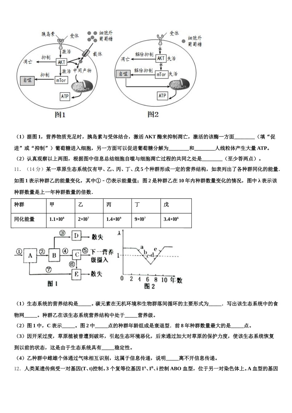 2025年湖南师大附中思沁中学生物高一第二学期期末质量跟踪监视模拟试题含解析_第3页