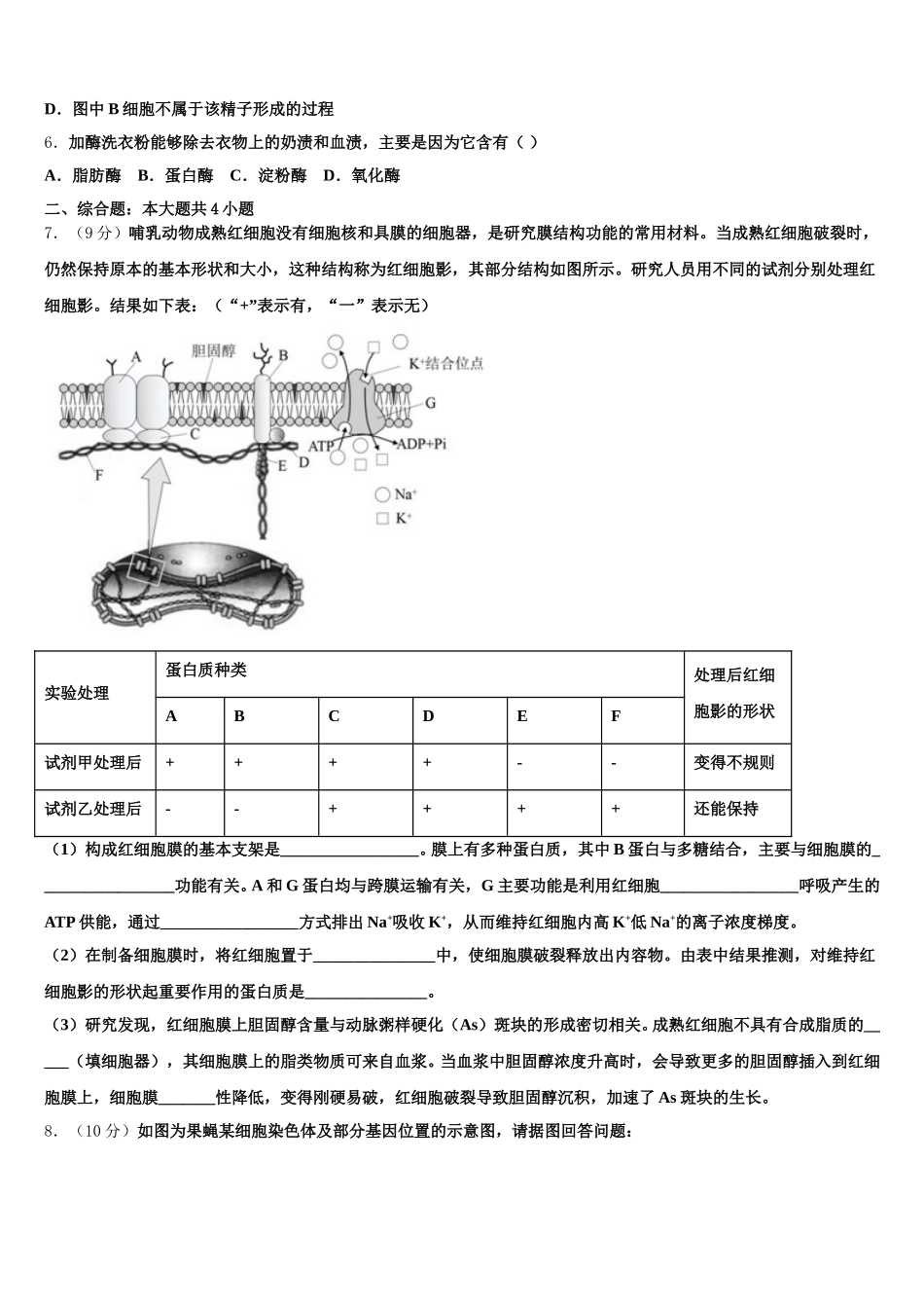 湖南省长沙市一中、湖南师大附中2025年高一生物第二学期期末达标测试试题含解析_第2页