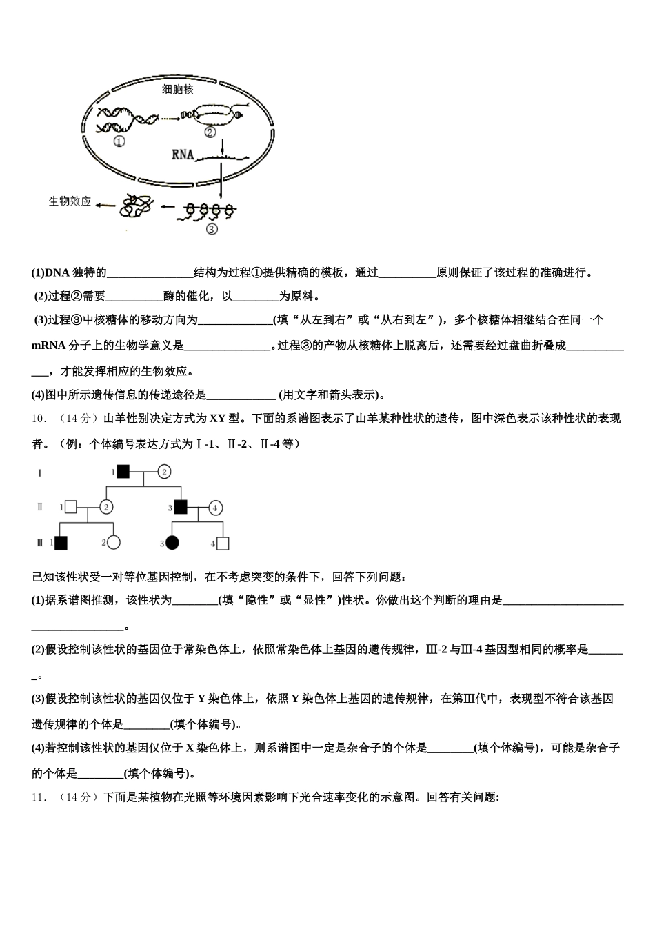 2025届湖南省长郡中学、衡阳八中等十三校重点中学高一下生物期末联考模拟试题含解析_第3页