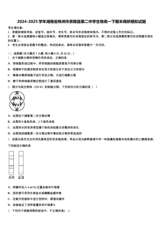 2024-2025学年湖南省株洲市茶陵县第二中学生物高一下期末调研模拟试题含解析
