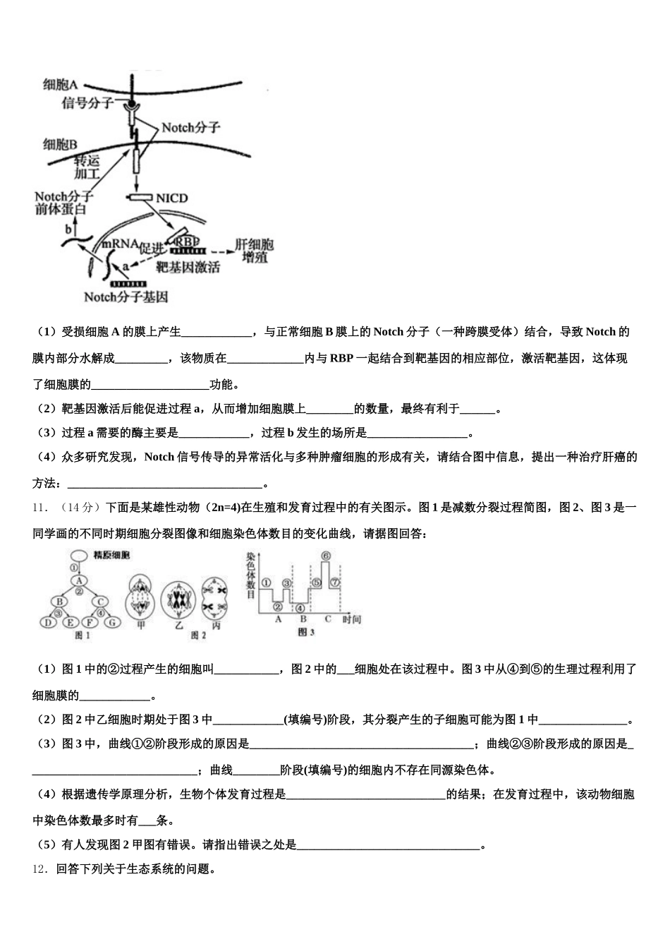 2025届湖南省桃江县生物高一第二学期期末考试试题含解析_第3页