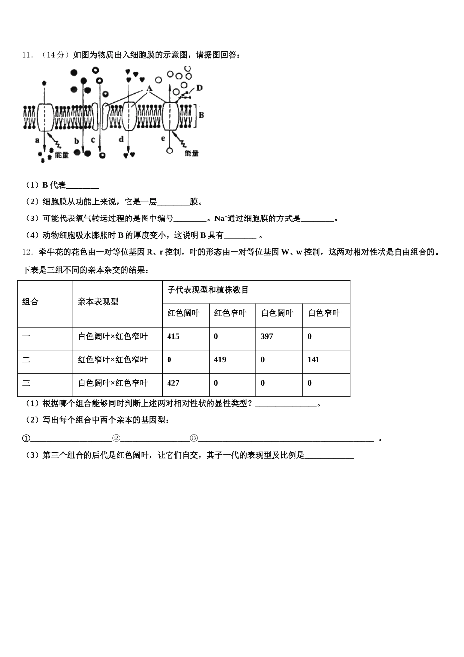 湖南省常德外国语学校2025届高一下生物期末检测模拟试题含解析_第3页