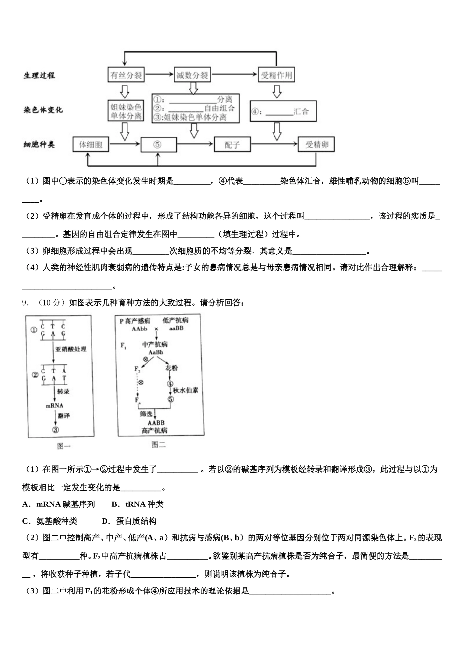 2025届湖南省雅礼洋湖中学生物高一第二学期期末达标检测模拟试题含解析_第3页