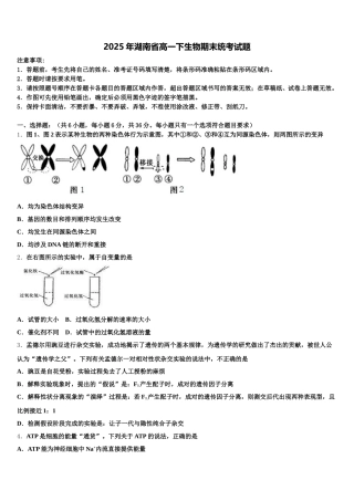 2025年湖南省高一下生物期末统考试题含解析