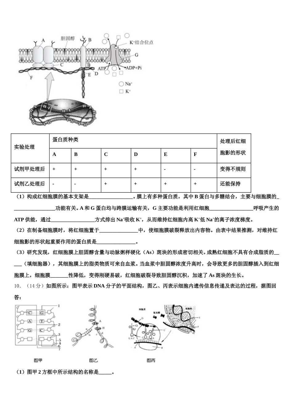 湖南省湖湘教育三新探索协作体2025届高一生物第二学期期末综合测试试题含解析_第3页