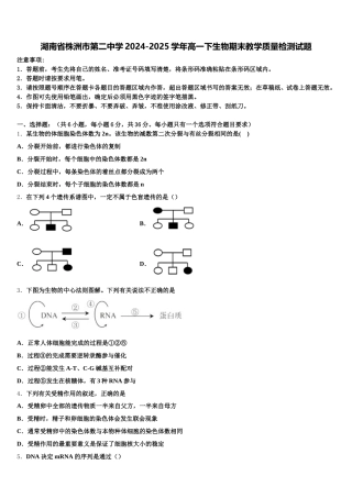 湖南省株洲市第二中学2024-2025学年高一下生物期末教学质量检测试题含解析