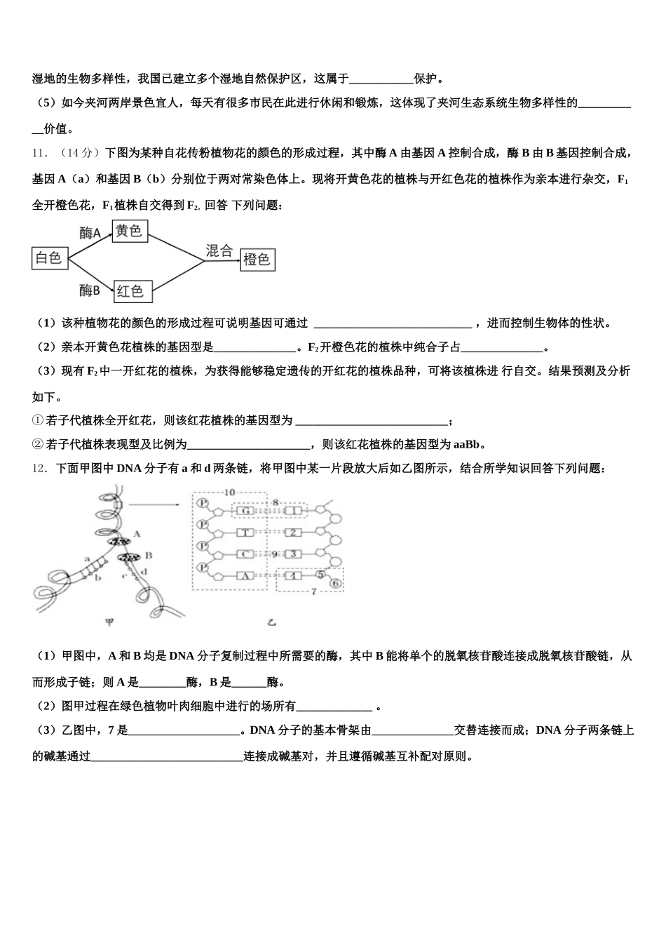湖南省邵阳市邵阳县第一中学2025届生物高一第二学期期末统考模拟试题含解析_第3页