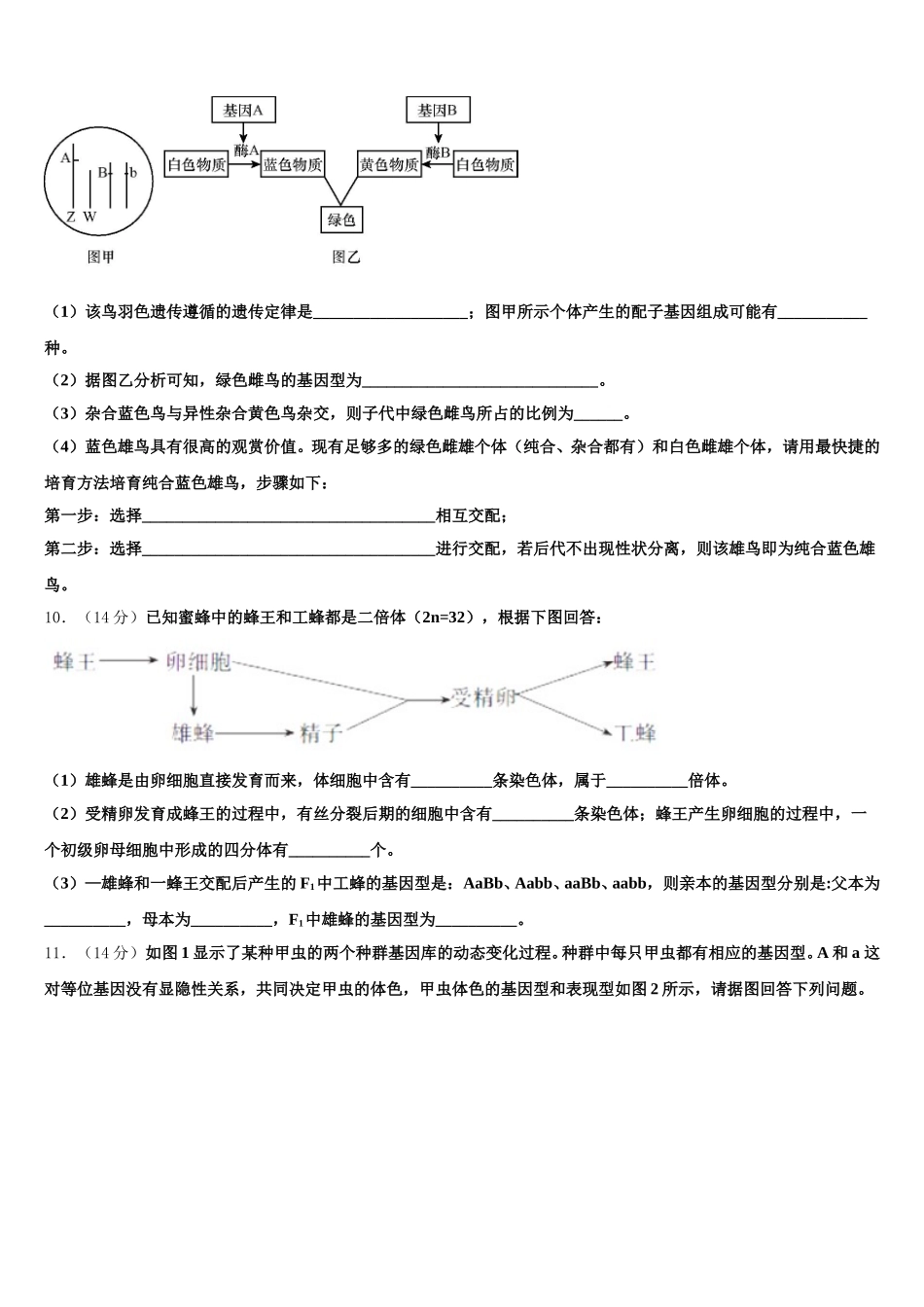 2025年湖南名师联盟高一下生物期末预测试题含解析_第3页