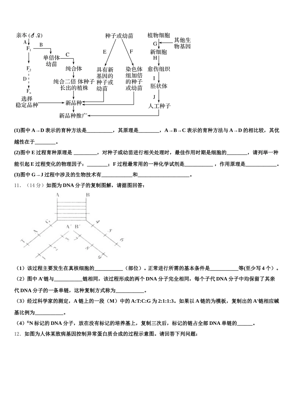 湖南省常德市芷兰实验学校2025届生物高一第二学期期末学业水平测试试题含解析_第3页